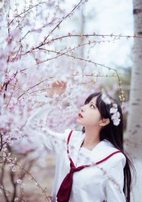 烈女镖局电影未删减完整版_BD英语免费在线播放